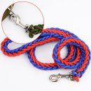 리드생활건강 이미지