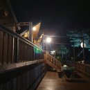 포레스트 월악 이미지