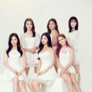 베리굿베리