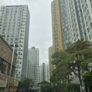 안양예술공원 지하차도_동 | 대구 탄성코트 동대구 반도유보라 베란다 시공후기
