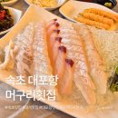 오나횟집 | 속초맛집 머구리횟집 ｜ 상차림 푸짐한 대포항 대게 활어회 전문점