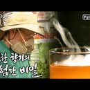 달콤한향기 이미지