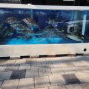 해원펠리스횟집 이미지