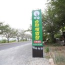 비슬 승마체험장 이미지