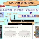 나노카센타 이미지