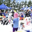 버드랜드 이미지