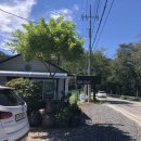 오아시스가든 이미지