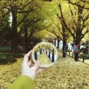 실과 바늘 이미지