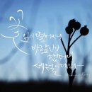 #2980 나는 누구인가? - 歲月(세월) time passing by 이미지