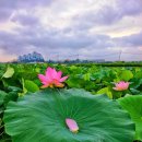 수성치과기공소 이미지