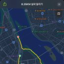 2024년 6월19일 여의도 완주 이미지