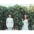 다니스튜디오 이미지