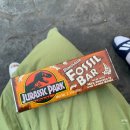 소망건강원 | 10월 LA신혼여행) 유니버셜할리우드 스튜디오 예약, 주차, 어플사용, 먹을거리, 어트랙션 후기