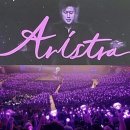 GOGO(고고)투어