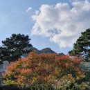 돌산동산정원 네이버블로그