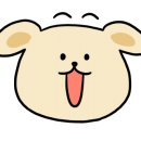 해피애견타운 분당판교점 이미지