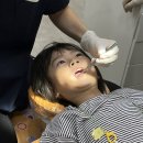 세종튼튼치과의원 네이버블로그