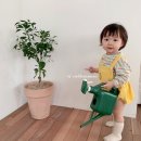 형제마켓