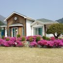 영희네 민박 이미지