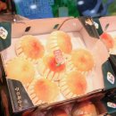 충주시, ‘하늘작 충주복숭아’특별 판촉행사 이미지