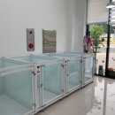 변신하개 이미지