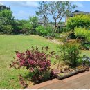 평화펜션 | 천안펜션추천 천안에서 만난 자연 속 평화, 별꽃정원펜션 후기