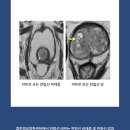 휴먼영상의학과의원 이미지