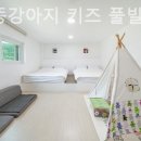 키즈풀빌라똥강아지 이미지