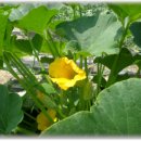 희연농장 이미지