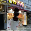 왕가탕후루 금호점 | 왕가탕후루 금호사수점 사수동에도 탕후루집이 생겼어요