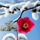 사정경로당 이미지