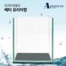 아쿠아테라 수족관 이미지