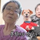 봉희농장 이미지