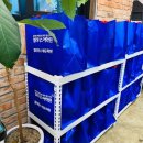 얼리더스 어학원 이미지