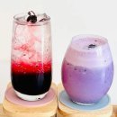 묵동-062 | 생방송투데이 자족식당 복분자카페 위치 어디? 광주 생복분자 - 크레페 &amp; 크루아상 &amp; 토스트