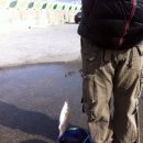 송정유료낚시터 이미지