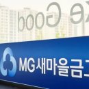 새마을금고 '특별관리'의 성적표...상반기 22곳 새로 완전자본잠식 이미지