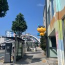 영춘마트 | 대전 주말 당일치기 여행 코스 추천｜성심당 본점, 몽심, 대청호 명상정원 후기와 꿀팁