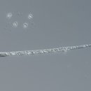 덕우환경 이미지