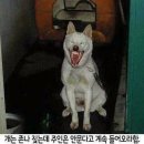 공감 이미지