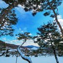 세종전통장류박물관 이미지