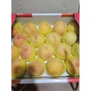 복숭아아저씨 이미지