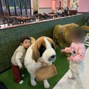 와동천사어린이집 이미지