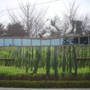 백로공원 화장실 이미지