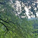 돌배나무집민박 이미지