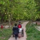 아빠의나무 야영장 이미지