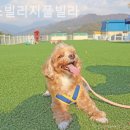 멍스빌리지풀빌라4 | 운악리펜션 멍스빌리지풀빌라 하루가선물처럼느껴져!