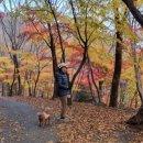 수선정사 이미지