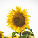 청암사우나 이미지