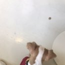 오파프부산 이미지